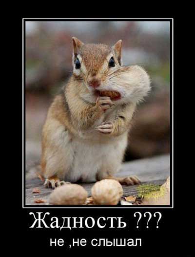 Смешные картинки с надписями про отношения (20 фото)