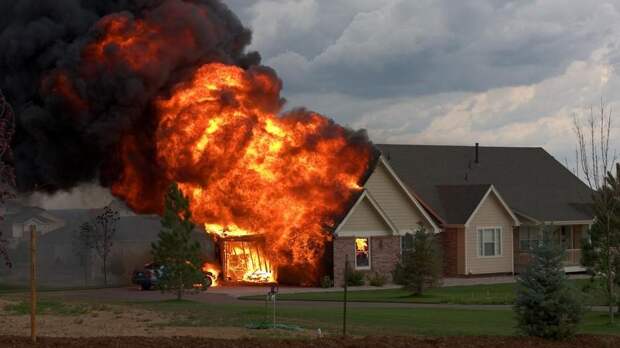 «Кого спасете из пожара: своего питомца или чужого ребенка?»: россияне вновь сражаются в попытке найти правильное решение этой дилеммы