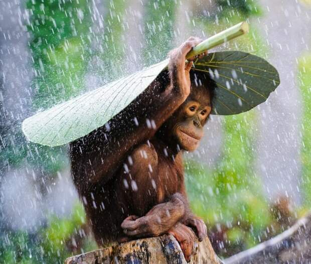 Andrew Suryono / National Geographic