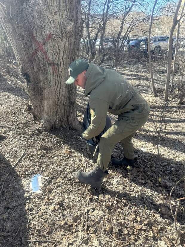В Тюмени стартовала подготовка к Радонице, или Пасхе для усопших