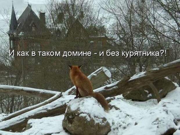 Мысли вслух :)