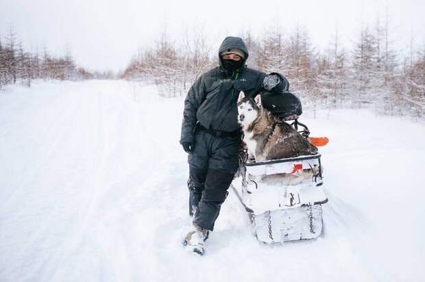 Горный инженер из Магадана делает милые фотографии лис, зайцев и мишек Животные, Милота, Иван кислов, Фотография, Горный инженер, Длиннопост