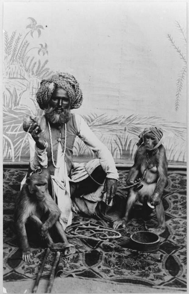 Приверженец суфизма гармонии с собой. Приверженец суфизма гармонии с собой.