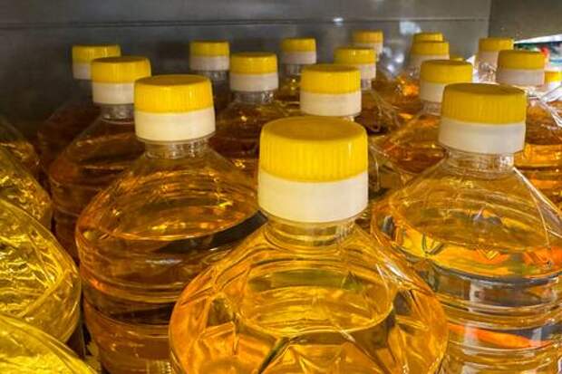 Иран закупает в 7 раз больше: поставки кубанского подсолнечного масла через порты края в 2025 году достигли рекордных показателей