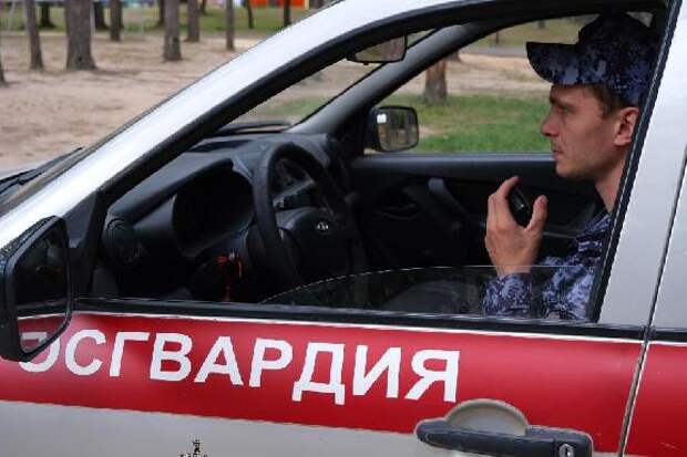 Тамбовчанин вывез из гипермаркета тележку с продуктами на 20 тысяч рублей без оплаты