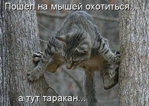 Мысли вслух :)
