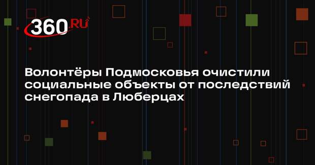 Волонтеры помогли люберчанам справиться с последствиями снегопада