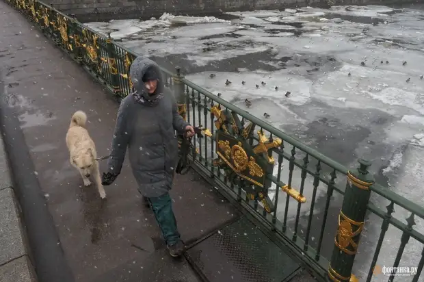 Не совершай ошибку. Снаружи ветер ломает зонтики петербуржцев