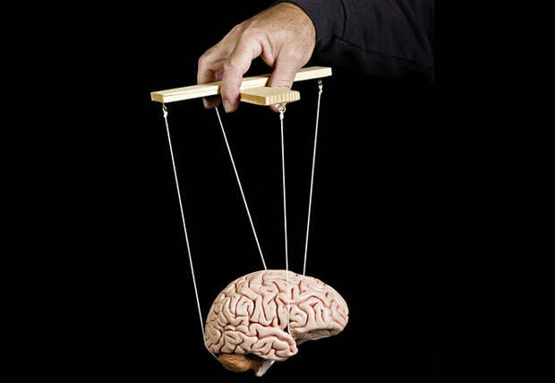 Как эффективно разогнать мозг: советы невролога