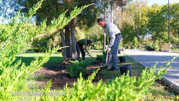В Симферополе озеленяют парк им. Ю.А