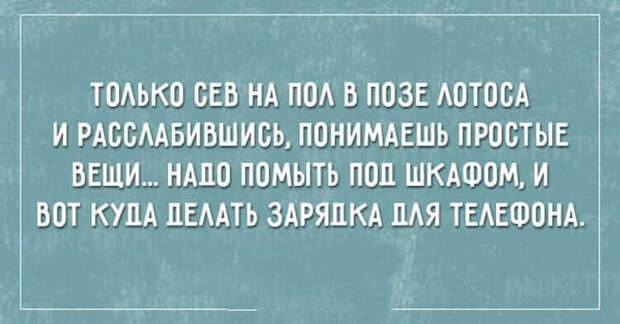 https://cdn1.umbrella.green/wp-content/uploads/2017/01/9-52.jpg