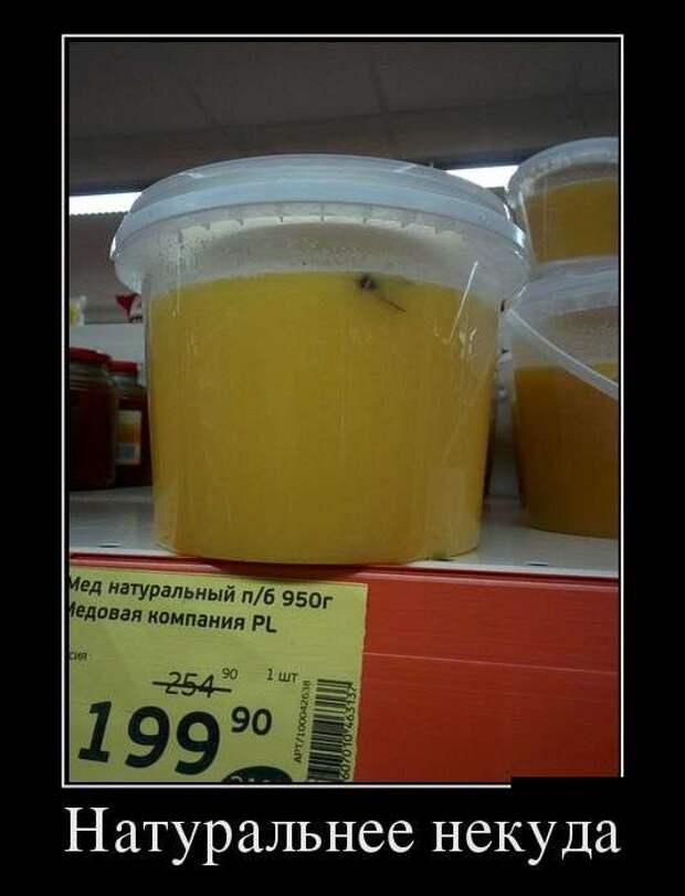 Демотивируемся! Демотивируемся!