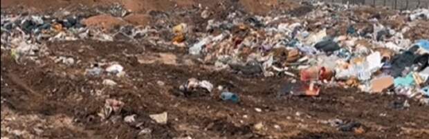 Работы по очистке полигона начали в Жетыбае