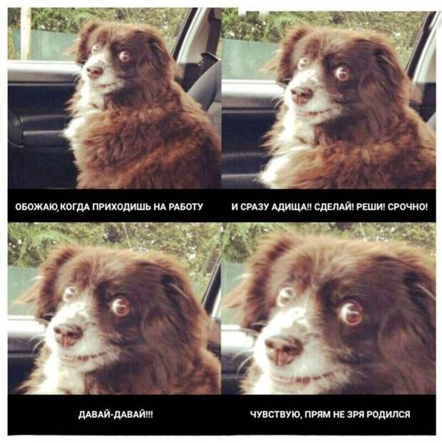 А как вам работается по жизни? А как вам работается по жизни?