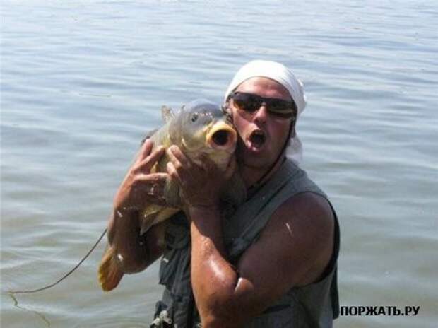 Позитив (12 фоток)