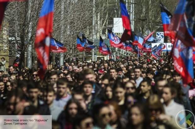Выборы в Донбассе: прожиточный минимум и закон об общественных организациях - чем будет заниматься новый парламент ДНР