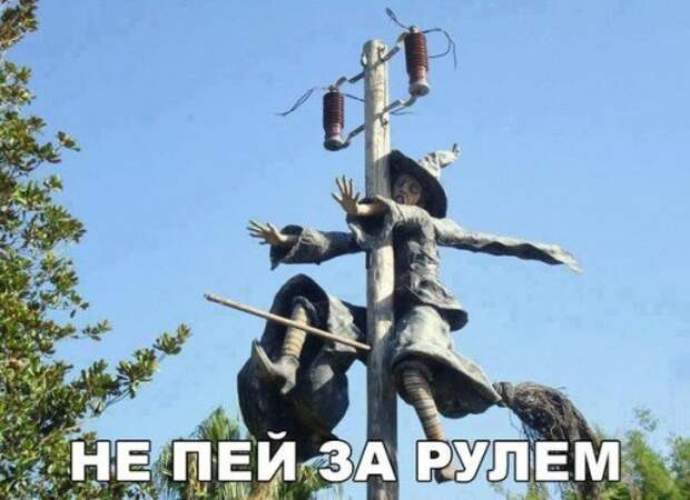 Новые АВТОприколы (35 фото)