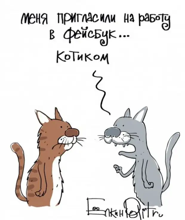 Приколы злободневные в картинках