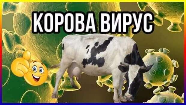 Демотиваторы про коронавирус с надписями. Подборка chert-poberi-dem-chert-poberi-dem-09020424052020-2 картинка chert-poberi-dem-09020424052020-2