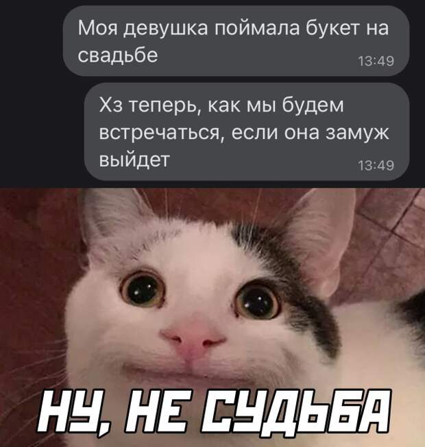 Смешные картинки 4 января 2022 года