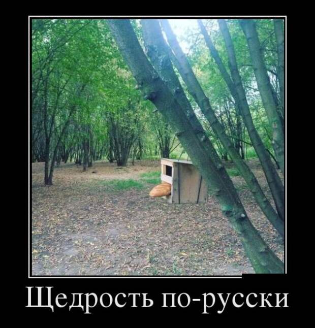 Позитивные и веселые демотиваторы для поднятия настроения (11 фото) Позитивные и веселые демотиваторы для поднятия настроения (11 фото)