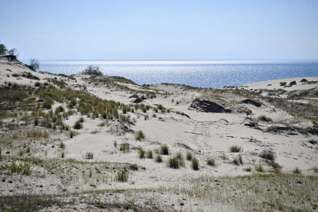 Россиянин побывал на Куршской косе и описал впечатления словами «и ради этого все едут?»