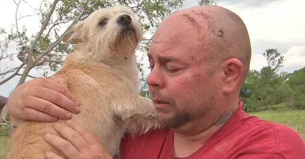 Картинки по запросу мужчина нашел собаку после торнадо