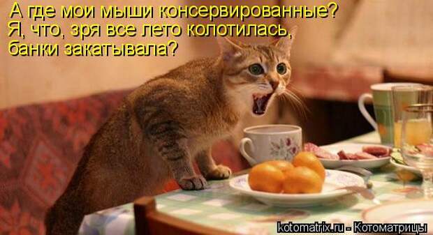 4 (600x327, 38Kb)