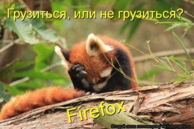 Котоматрицы....самые прикольные
