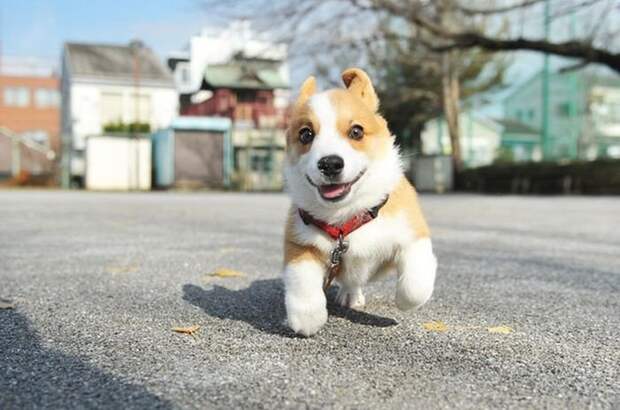 Прикольные картинки абавсём:D (05.05.16)