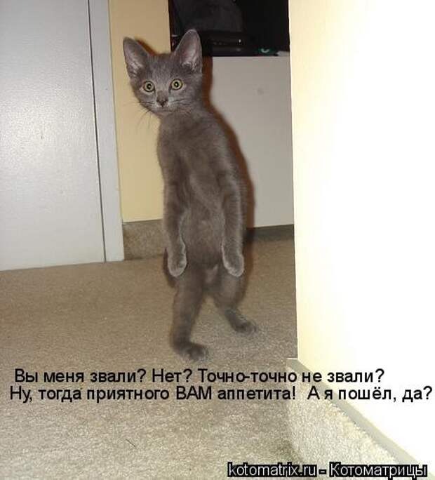 Мысли вслух :)