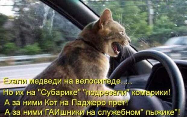 9f2554d8cb018bfc6e6aea86c84_prev
