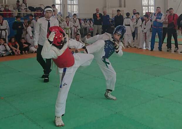 В Смоленске пройдет 20-й открытый турнир по тхэквондо «Кубок Дружбы»