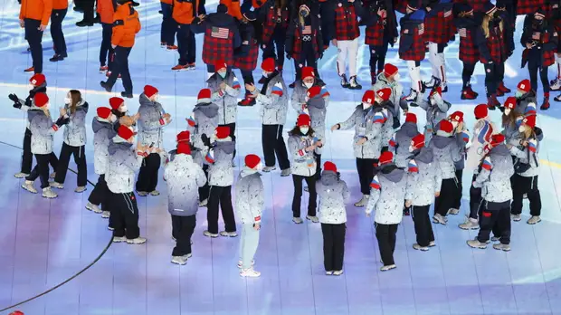 Самолёт с олимпийской сборной России приземлился в Москве