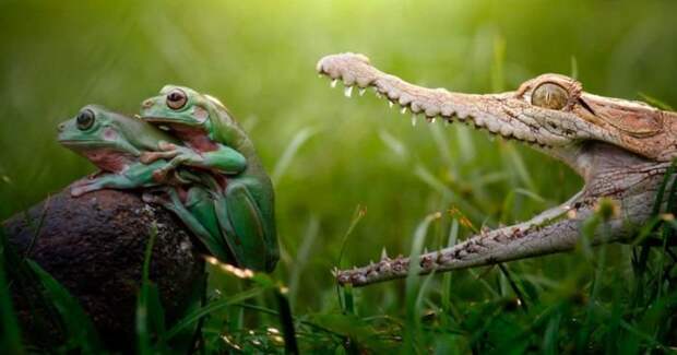 Прикольные картинки абавсём:D (05.05.16)