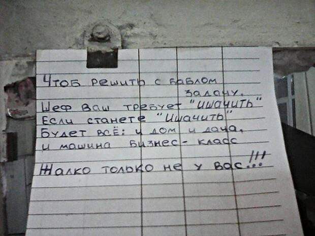 Забавные надписи, которые нас окружают