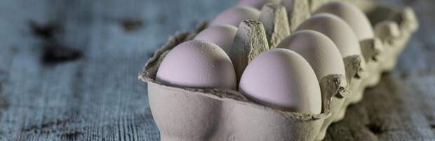 Цены на яйца снизились в Туркестанской области