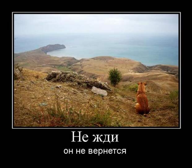 Демотиваторы (30 фото)
