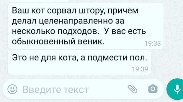 Когда попросили маму присмотреть за котом во время отпуска