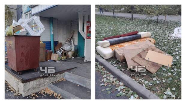 Мусор у одного из домов / Фото: 