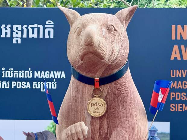 Спасшей десятки человек гигантской крысе-саперу поставили памятник