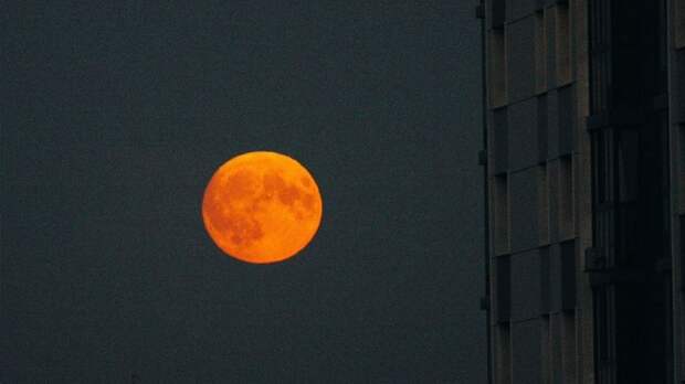"Кровавая луна" взойдет над Барнаулом в ночь на 8 сентября. Время затмения