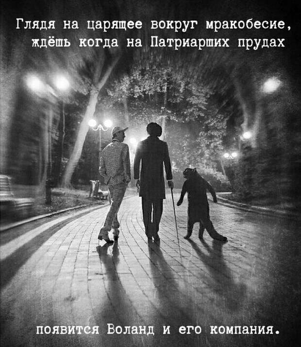 Прикольные картинки и веселые фото для улыбки (12 фото) Прикольные картинки и веселые фото для улыбки (12 фото)