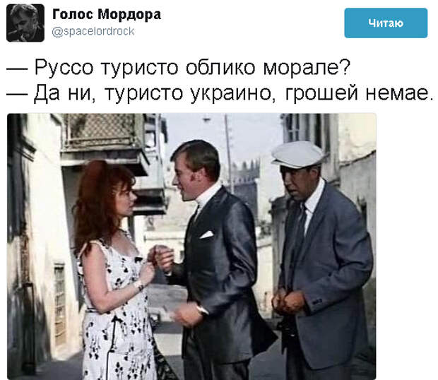 1497361491121232848.jpg