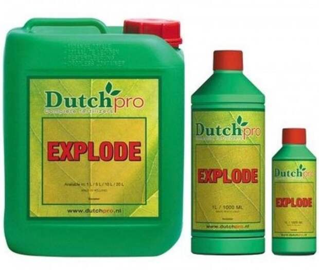 Стимулятор Explode