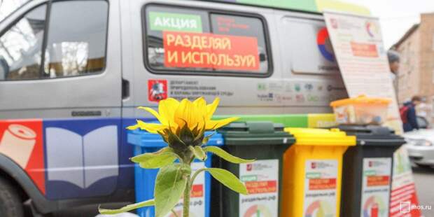 Сбор мусора/ фото: mos.ru