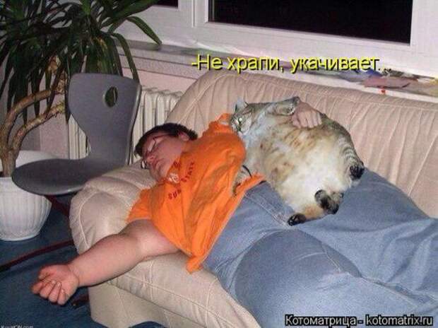 Котоматрицы (картинки с надписями)