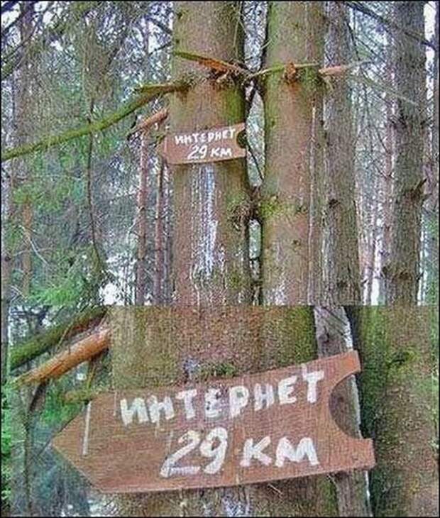 Смешные надписи и объявления надписи, объявления, приколы, смешные, юмор