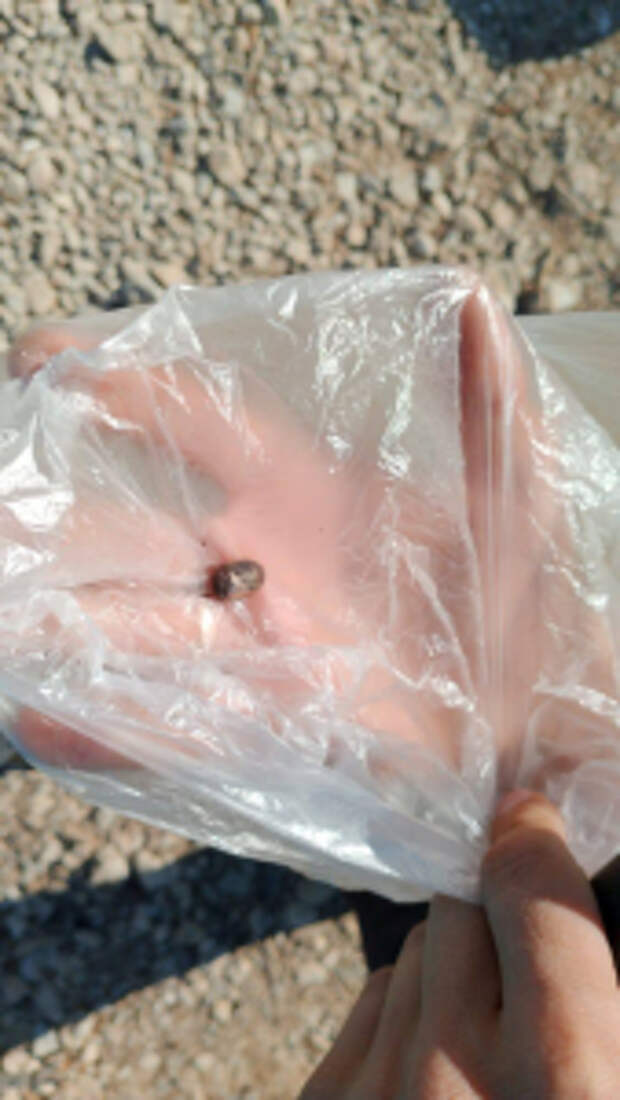 Полицейские по горячим следам задержали подозреваемого в ряде преступлений