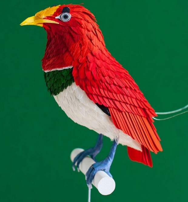 Интересные фото: Невероятные бумажные птички от колумбийской художницы животные, птицы, рукоделие, своими руками